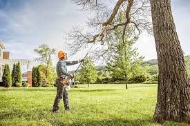 Soil Testing and Treatment in Mineola, NY